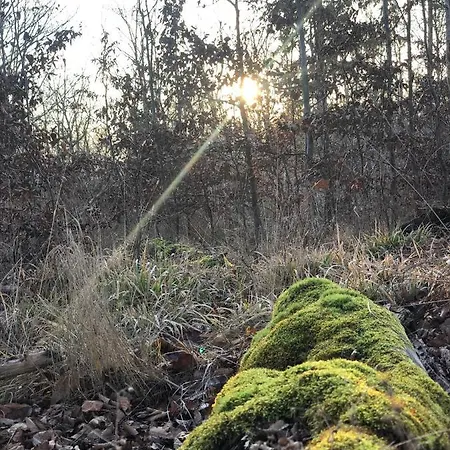 Appartement Am Mathildenbrunnen Gross
