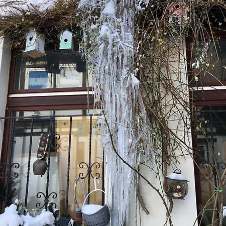 Am Mathildenbrunnen Gross Appartement *