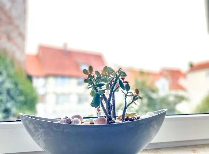 公寓 Am Mathildenbrunnen Gross