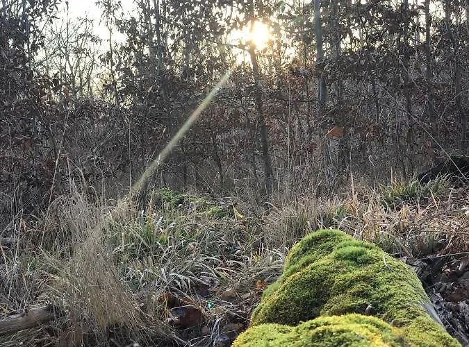 公寓 Am Mathildenbrunnen Gross